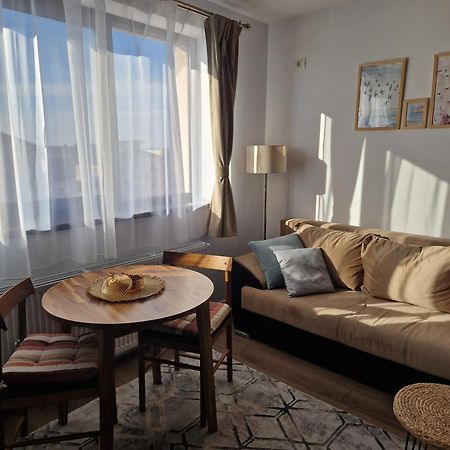 Craitelor Boutique Airport Apartment Otopeni Luaran gambar